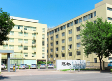 图层10.png